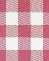 32794 298 Raspberry by   