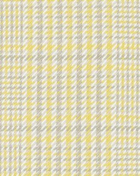 32796 205 Jonquil by   