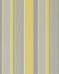 32806 610 Buttercup by   