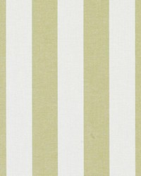 32809 21 Avocado by  Duralee 