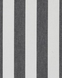 32809 295 Black/white by  Duralee 