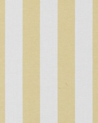 32809 539 Banana by  Duralee 