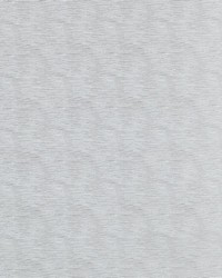 32841 362 Nickel by  Duralee 