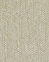 32850 185 Ginger by  Duralee 