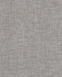 32850 362 Nickel by  Duralee 