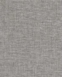 32850 388 Iron by  Duralee 