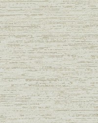 32868 88 Champagne by  Duralee 