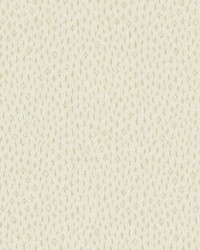 32869 118 Linen by  Duralee 