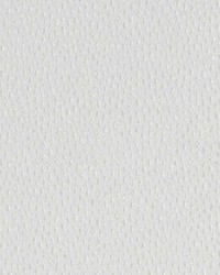 32869 84 Ivory by  Duralee 