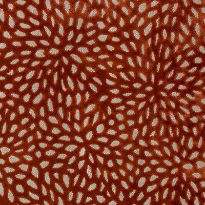 Duralee DW16187 136 SPICE in SALSA-BLUSH-MANDARIN Upholstery POLYESTER  Blend