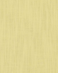 DK61237 632 SUNFLOWER by   