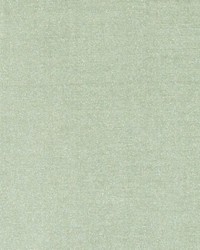 DQ61335 125 JADE by  Duralee 