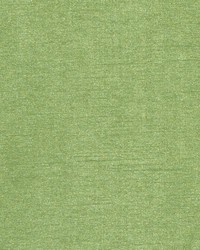 DQ61335 212 APPLE GREEN by  Duralee 