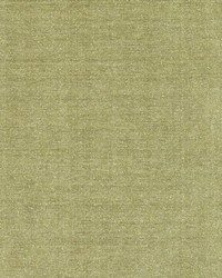 DQ61335 22 OLIVE by  Duralee 