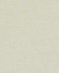 DQ61335 220 OATMEAL by  Duralee 