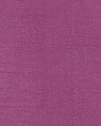 DQ61335 299 FUCHSIA by  Duralee 