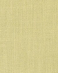 DK61236 770 CORNSILK by   