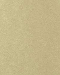 DQ61335 385 DIJON by  Duralee 