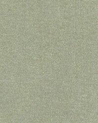 DQ61335 554 KIWI by  Duralee 