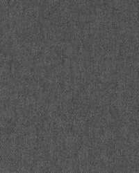 DK61637 174 GRAPHITE by  Duralee 