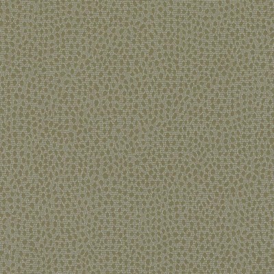 Duralee DD61596 303 FERN in LEMONGRASS-APPLE-SUNSHINE Green Drapery POLYESTER  Blend