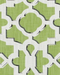 DP61225 705 CITRUS by   