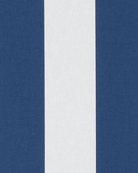 DP61307 54 SAPPHIRE by  Duralee 