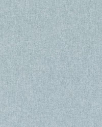 DK61636 28 SEAFOAM by  Duralee 