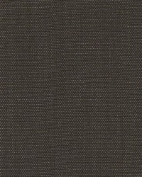 DK61430 10 BROWN by  Duralee 