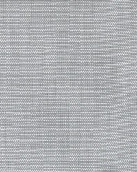 DK61430 248 SILVER by  Duralee 