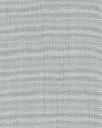 DK61430 251 SAGE by  Duralee 