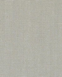 DK61430 319 CHINCHILLA by  Duralee 