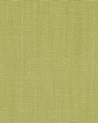 DK61430 320 LEAF by  Duralee 