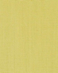 DK61430 609 WASABI by  Duralee 