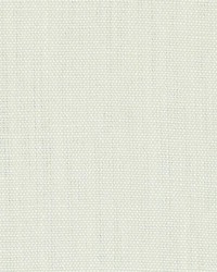 DK61430 625 PEARL by  Duralee 