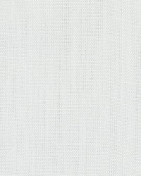 DK61430 81 SNOW by  Duralee 