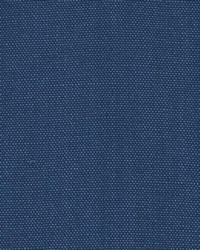 DK61430 99 BLUEBERRY by  Duralee 