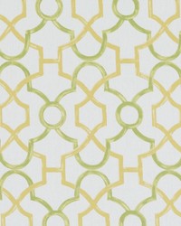 DP61446 677 CITRON by   