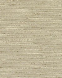 DK61275 160 MUSHROOM by  Duralee 