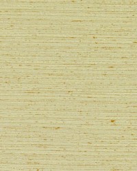 DK61275 205 JONQUIL by  Duralee 