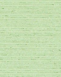 DK61275 25 CHARTREUSE by  Duralee 