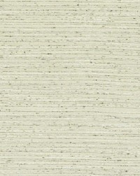 DK61275 319 CHINCHILLA by  Duralee 