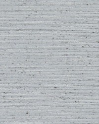 DK61275 360 STEEL by  Duralee 