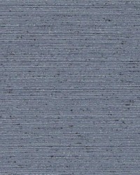 DK61275 377 RAVEN by  Duralee 