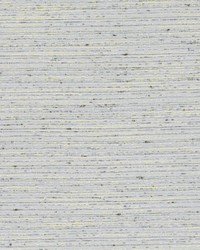 DK61275 380 GRANITE by  Duralee 