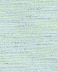 DK61275 390 BAYOU by  Duralee 