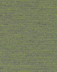 DK61275 58 EMERALD by  Duralee 