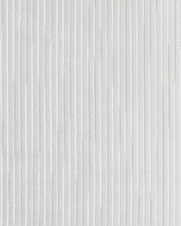 DS61292 562 PLATINUM by  Duralee 