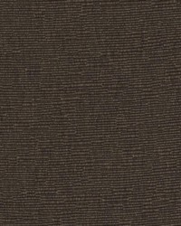 DK61276 10 BROWN by  Duralee 