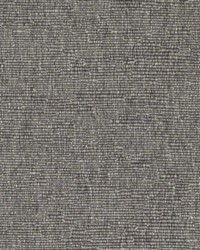 DK61276 174 GRAPHITE by  Duralee 